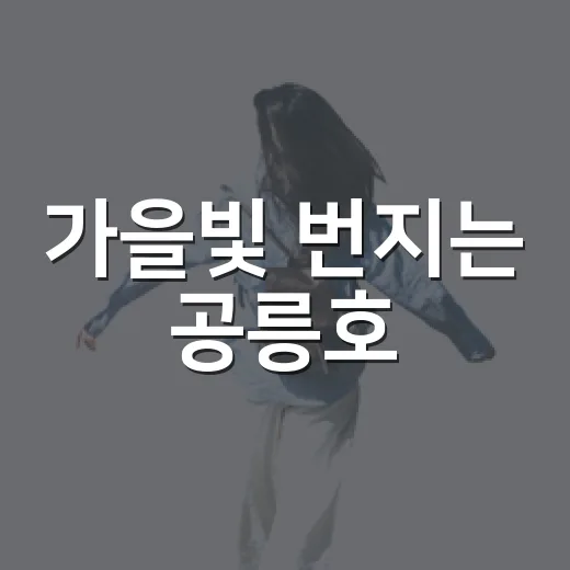 가을빛 번지는 공릉호
