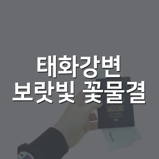 태화강변 보랏빛 꽃물결
