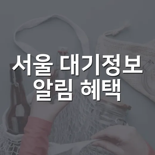 서울 대기정보 알림 혜택