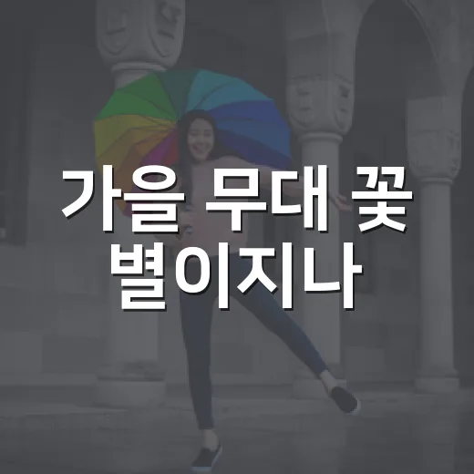 가을 무대 꽃 별이지나