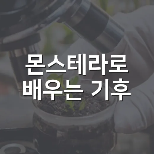 몬스테라로 배우는 기후