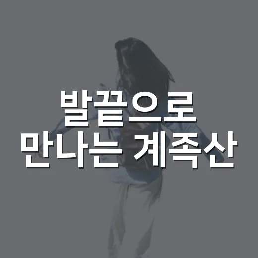 발끝으로 만나는 계족산