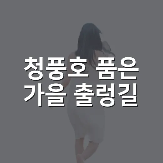 청풍호 품은 가을 출렁길