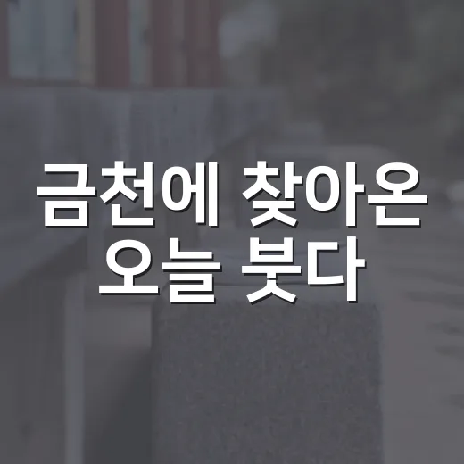 금천에 찾아온 오늘 붓다
