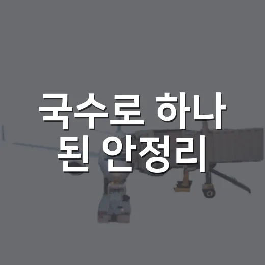 국수로 하나 된 안정리