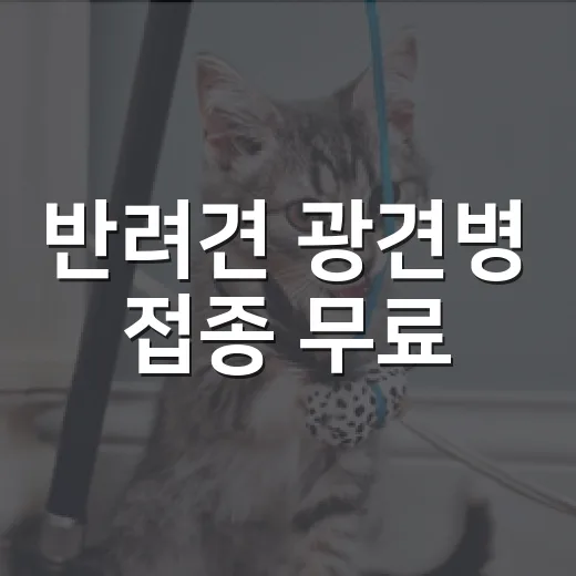 반려견 광견병 접종 무료