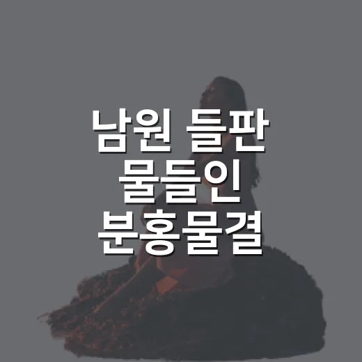 남원 들판 물들인 분홍물결