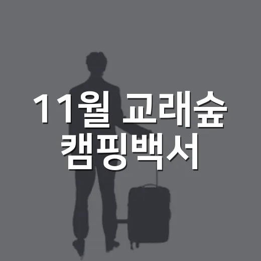 11월 교래숲 캠핑백서