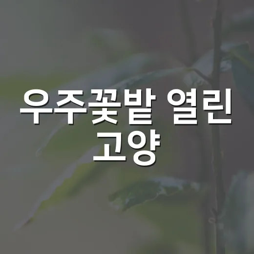 우주꽃밭 열린 고양
