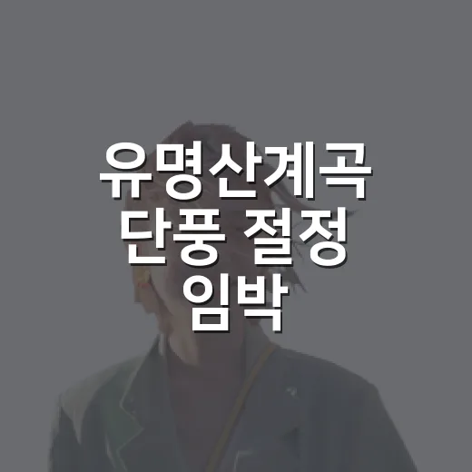 유명산계곡 단풍 절정 임박