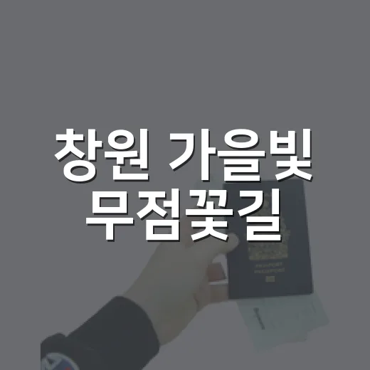 창원 가을빛 무점꽃길