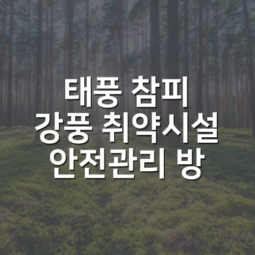 태풍 참피 강풍 취약시설 안전관리 방법은