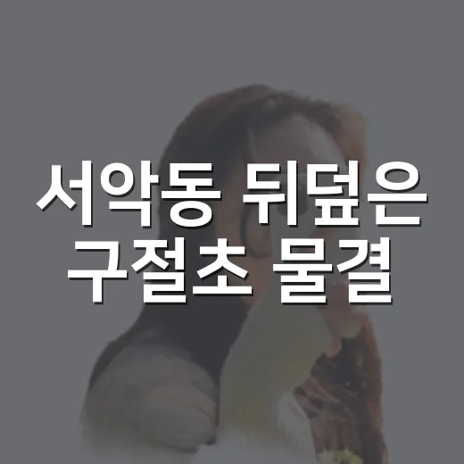 서악동 뒤덮은 구절초 물결