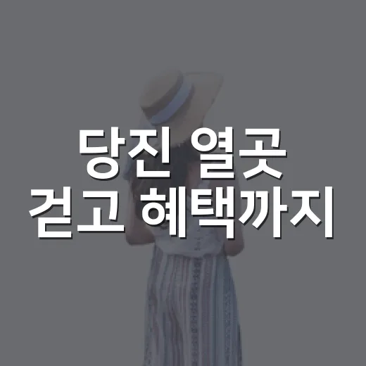 당진 열곳 걷고 혜택까지