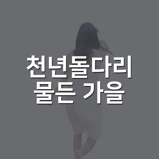 천년돌다리 물든 가을