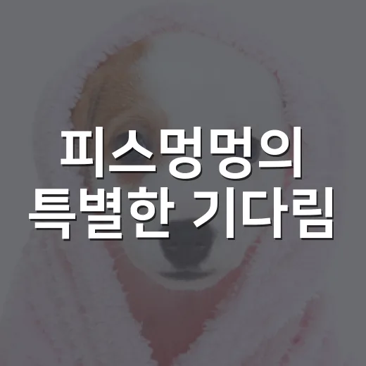 피스멍멍의 특별한 기다림