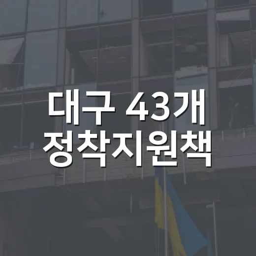 대구 43개 정착지원책
