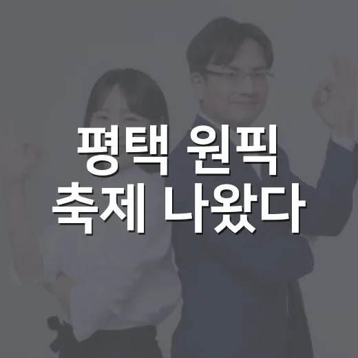 평택 원픽 축제 나왔다