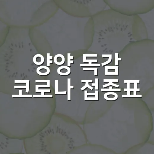 양양 독감 코로나 접종표
