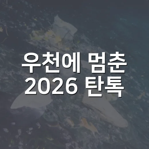 우천에 멈춘 2026 탄톡