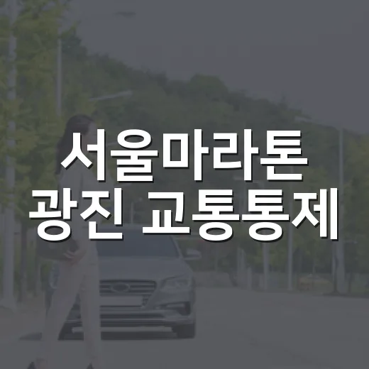 서울마라톤 광진 교통통제