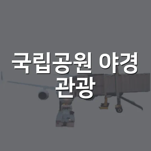 국립공원 야경 관광, 11월 14일까지