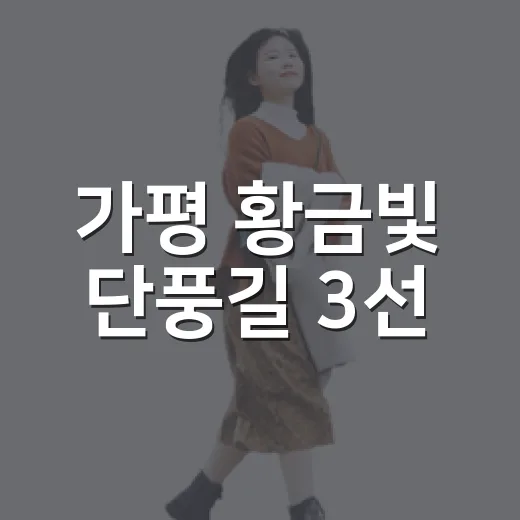 가평 황금빛 단풍길 3선