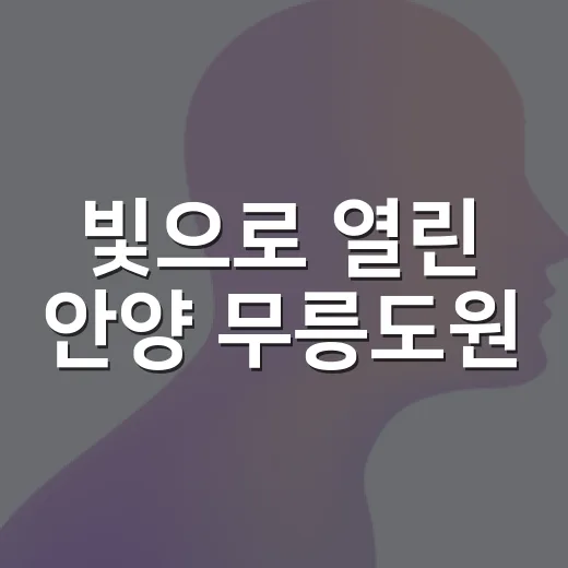 빛으로 열린 안양 무릉도원