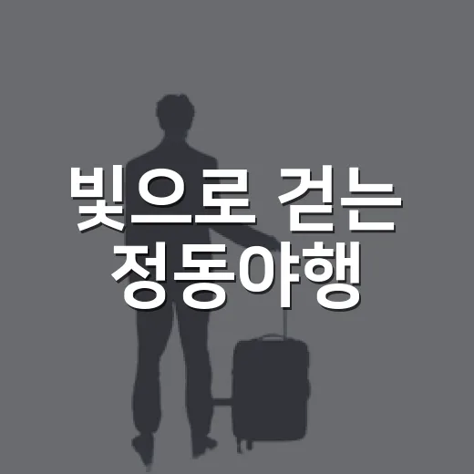 빛으로 걷는 정동야행