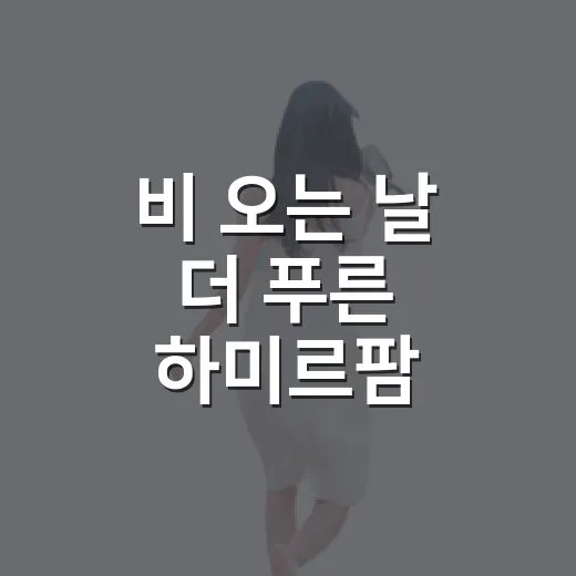 비 오는 날 더 푸른 하미르팜