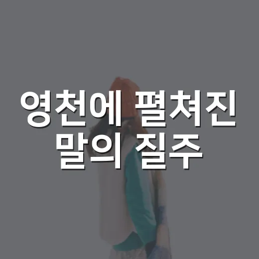 영천에 펼쳐진 말의 질주