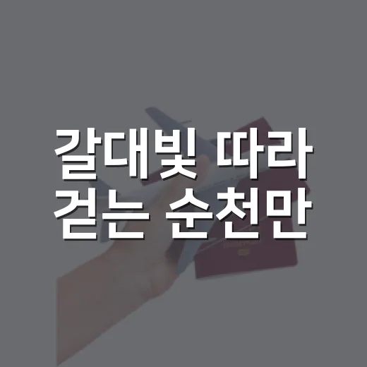 갈대빛 따라 걷는 순천만