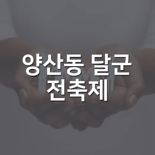 양산동 달군 전축제