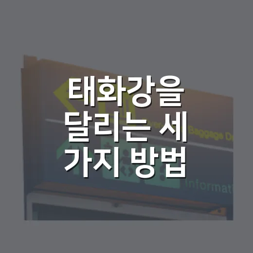 태화강을 달리는 세 가지 방법
