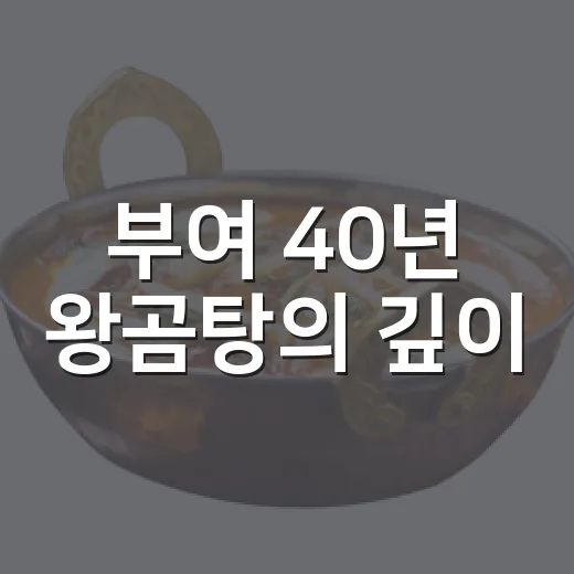 부여 40년 왕곰탕의 깊이