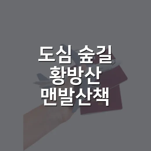 도심 숲길 황방산 맨발산책