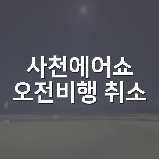 사천에어쇼 오전비행 취소