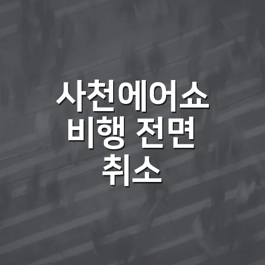 사천에어쇼 비행 전면 취소