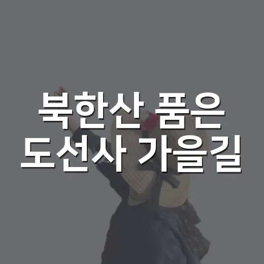 북한산 품은 도선사 가을길