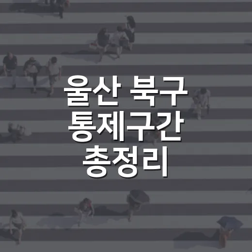 울산 북구 통제구간 총정리