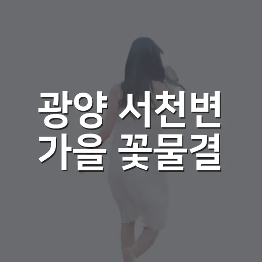 광양 서천변 가을 꽃물결