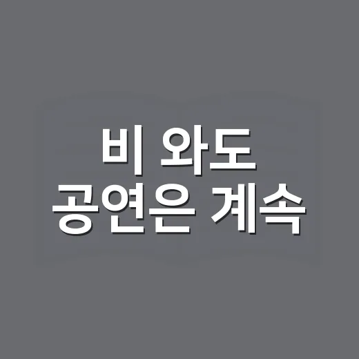 비 와도 공연은 계속