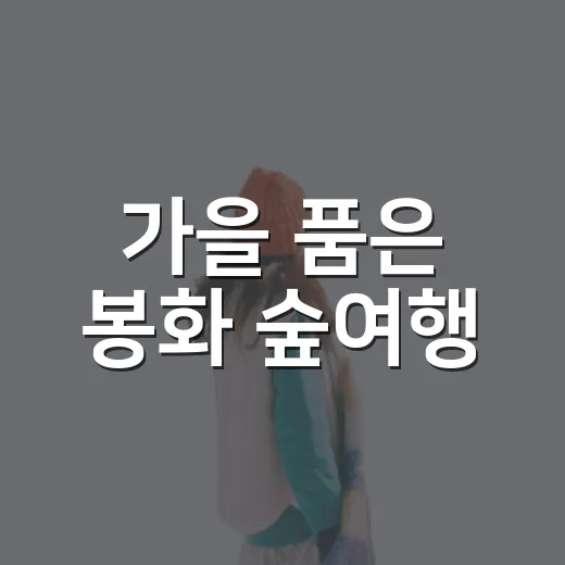 가을 품은 봉화 숲여행