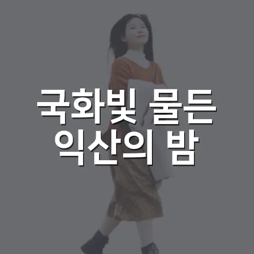국화빛 물든 익산의 밤