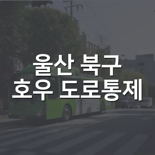울산 북구 호우 도로통제