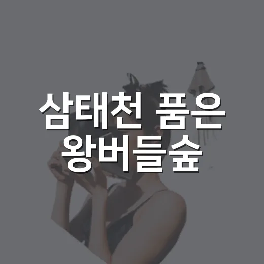 삼태천 품은 왕버들숲