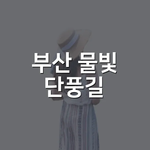 부산 물빛 단풍길