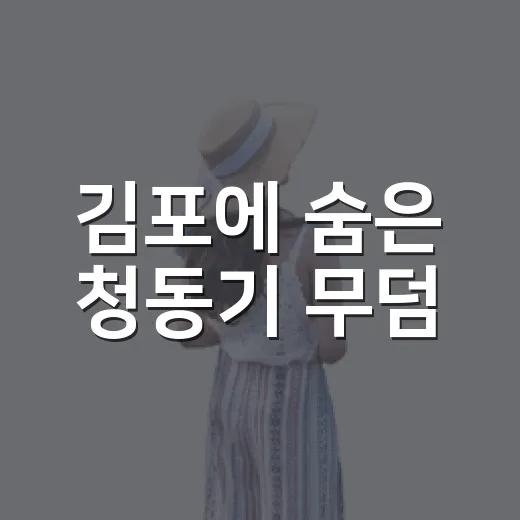 김포에 숨은 청동기 무덤