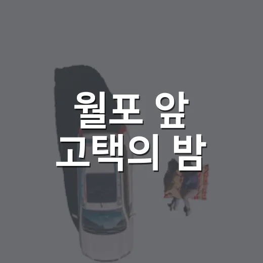 월포 앞 고택의 밤