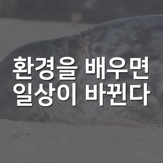 환경을 배우면 일상이 바뀐다